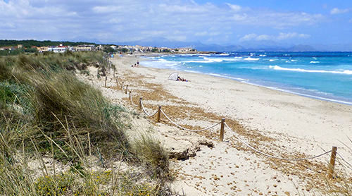 Imagen de la playa de 'Son Serra'